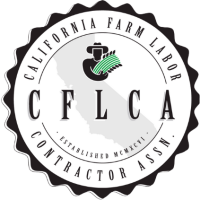 cflca